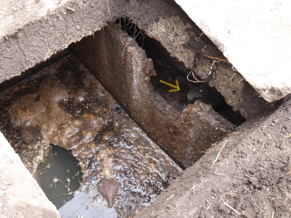 septic tank second chamber after 2 years