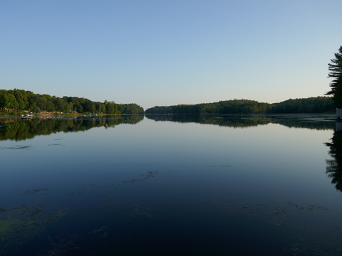 Jones Falls and Delta Mill 2025