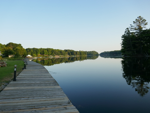 jonesfalls and deltamill 2025 jonesfalls and deltamill 2025