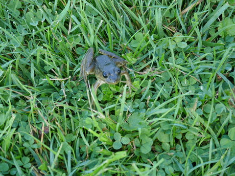 jonesfalls and deltamill 2025 jonesfalls and deltamill 2025